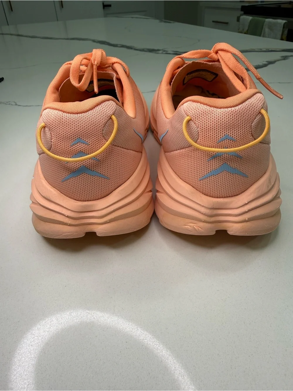 Hoka one rincon